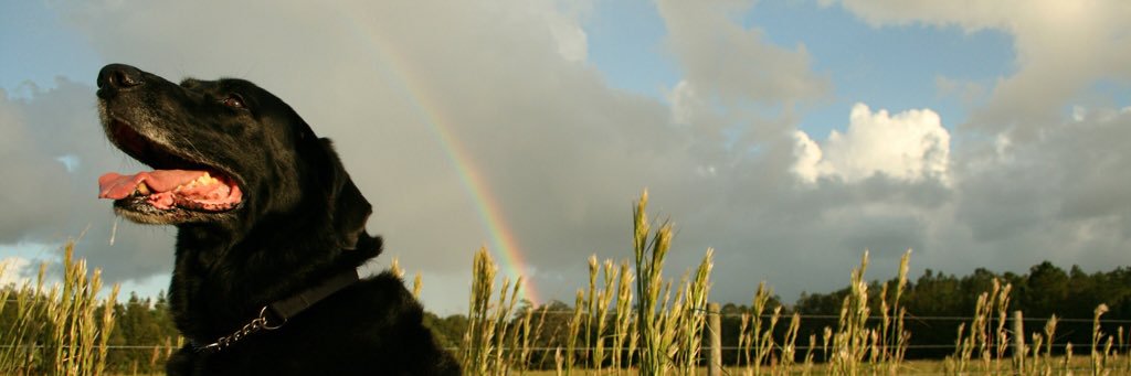 kaley3thompson's profile banner image