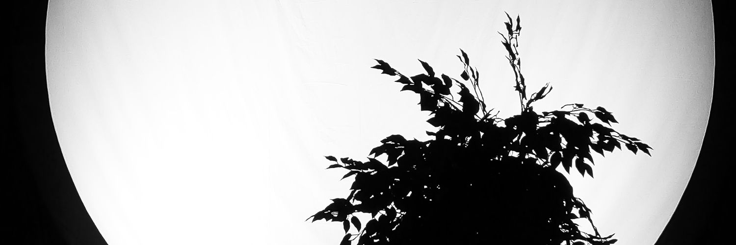Zumetasa's profile banner image