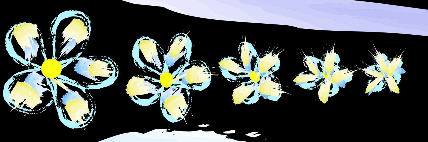 clesqui's profile banner image