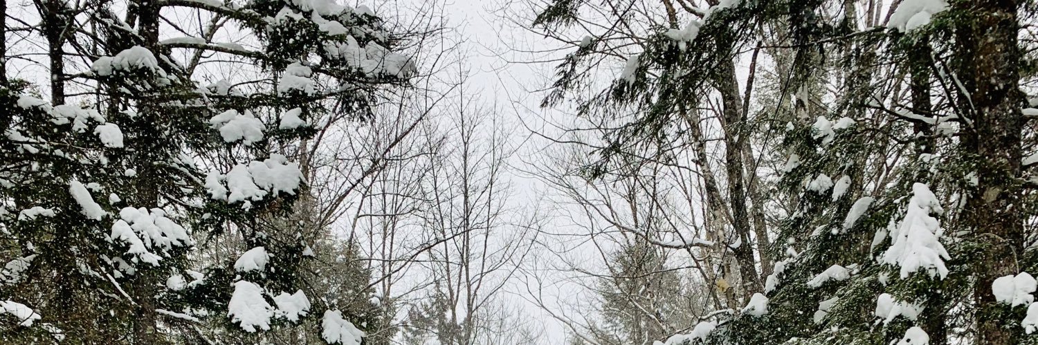 EfairchildMM's profile banner image