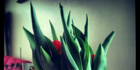 MarrtieMarta's profile banner image