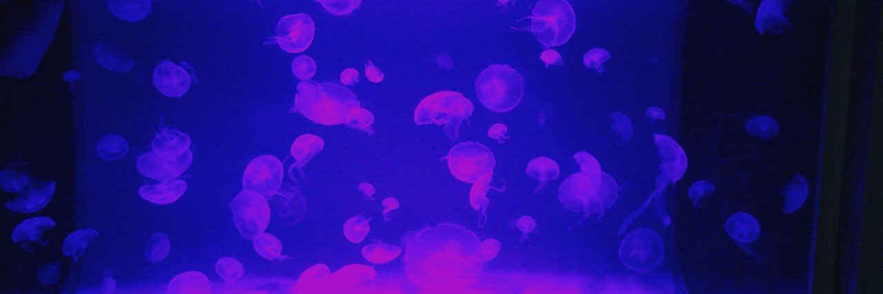 NaokiPrime's profile banner image