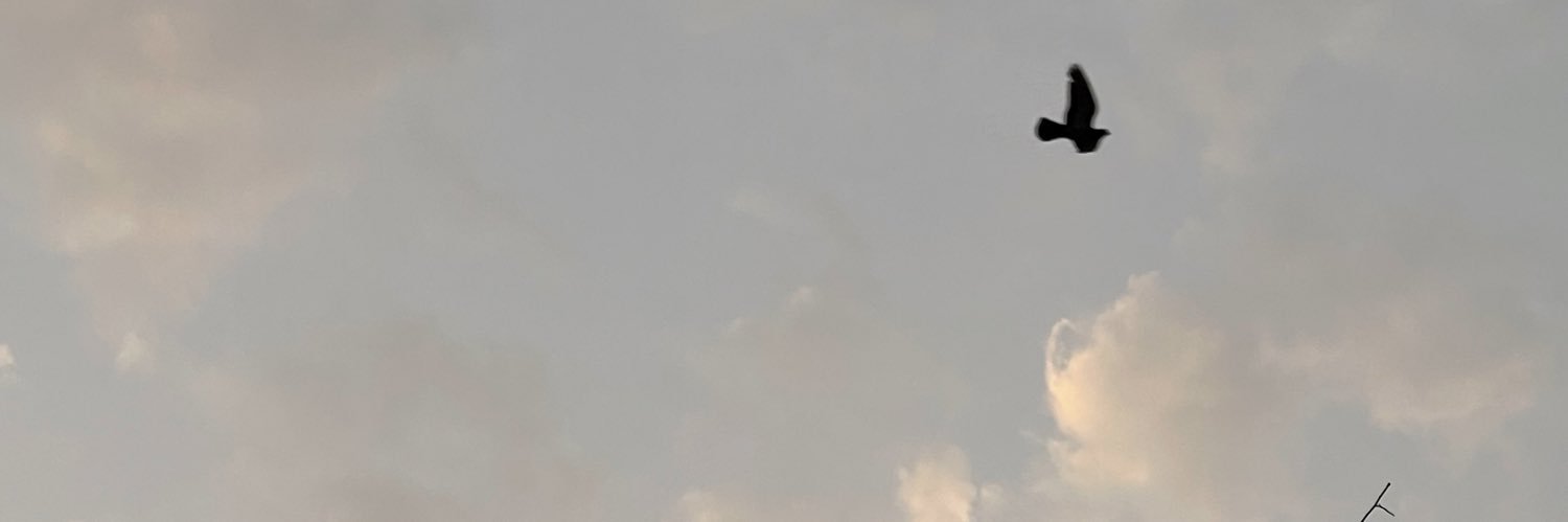 بُشرى banner