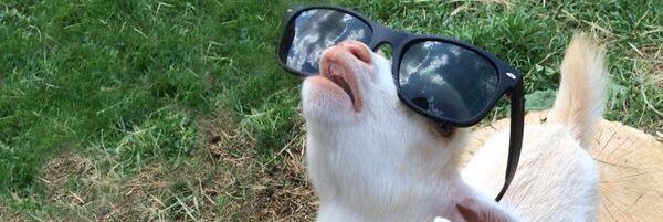 cwilliamsss95's profile banner image