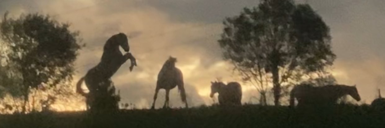 enacho2's profile banner image