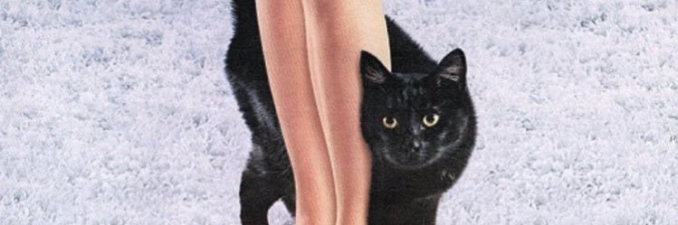 MaariaVicky's profile banner image