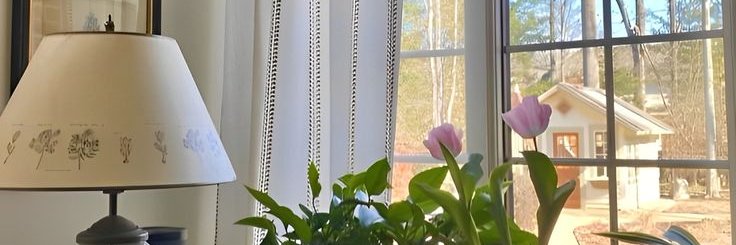 mauvienis's profile banner image