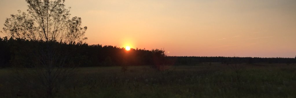 watters_austin's profile banner image