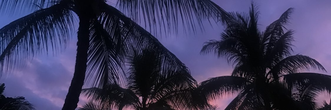 zakmichael's profile banner image