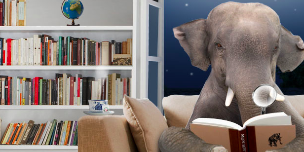 Elephant_FR's profile banner image
