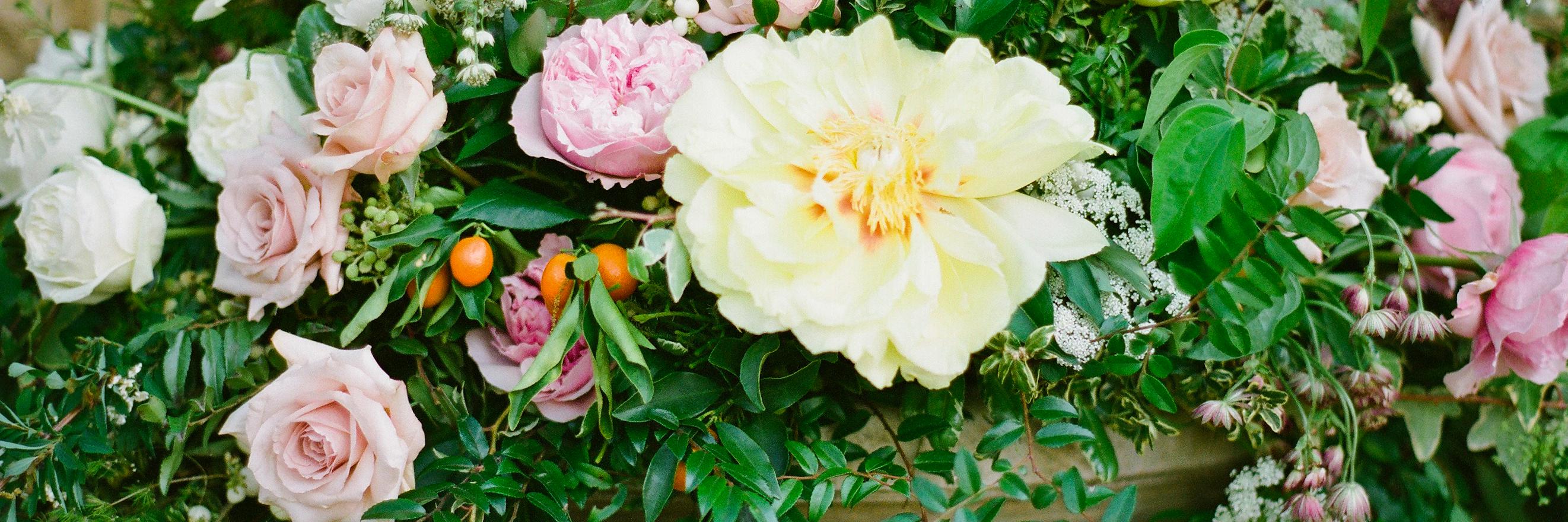 Laura McCarty banner