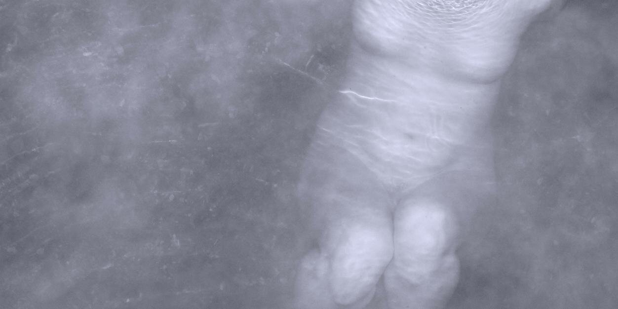 RING♢FILM banner