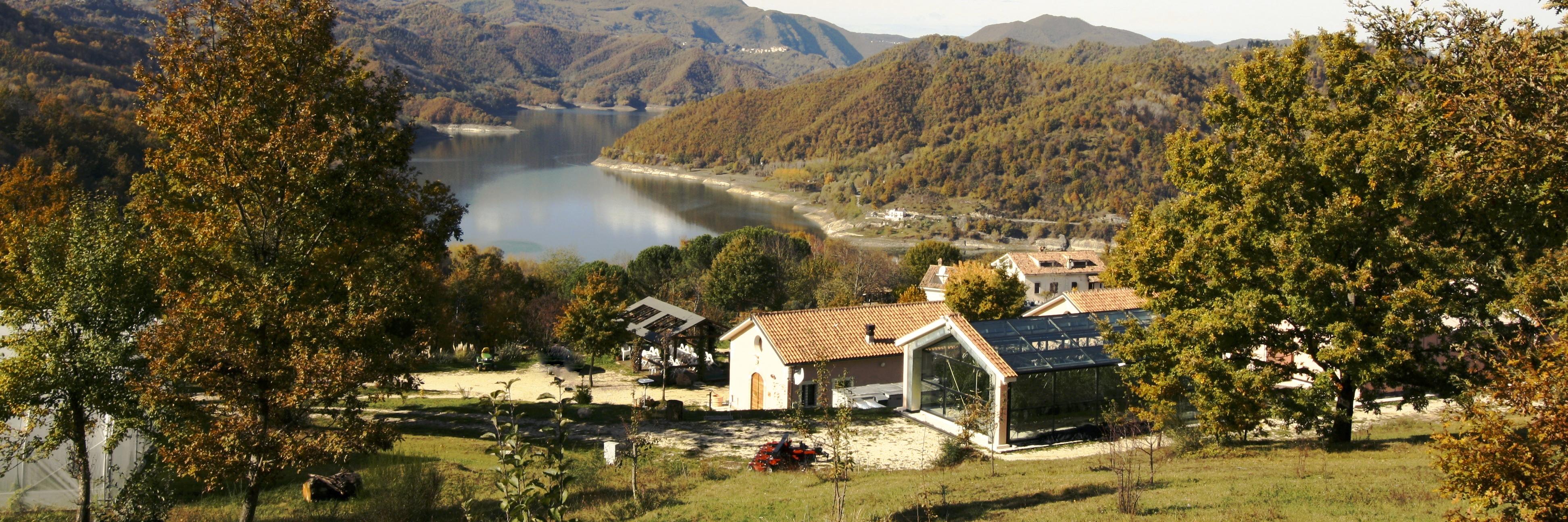 TheFerrariFarm's profile banner image