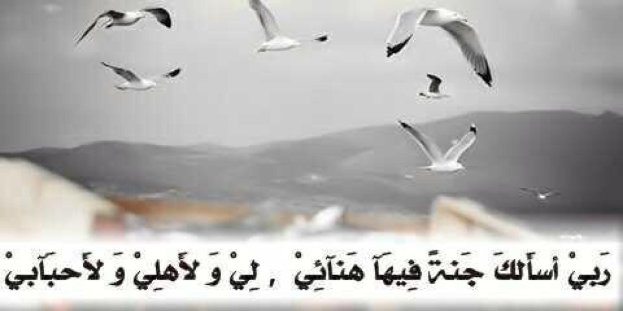 mmmb11's profile banner image