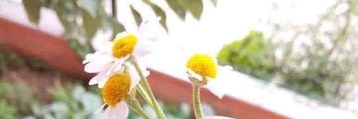 binzi_15's profile banner image