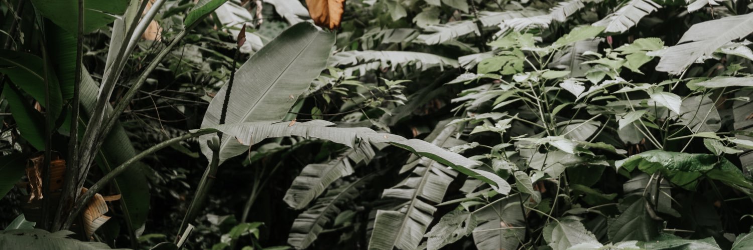 Tábata Poline banner