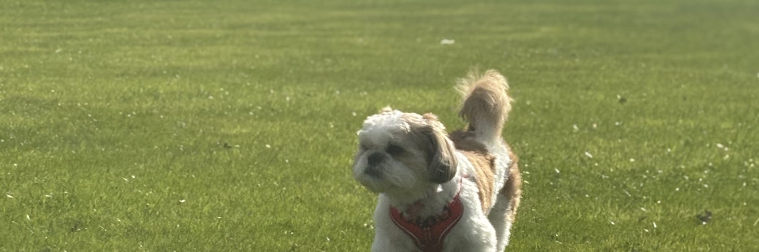 Cleggy_96's profile banner image