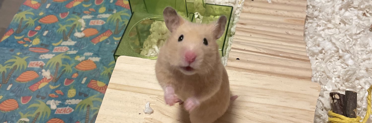 divinemrsw's profile banner image