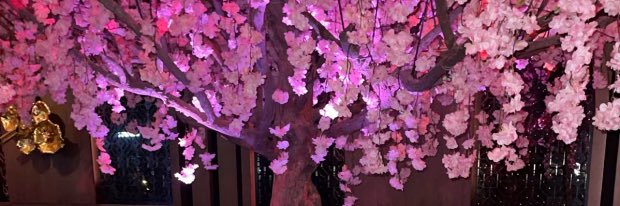 P banner