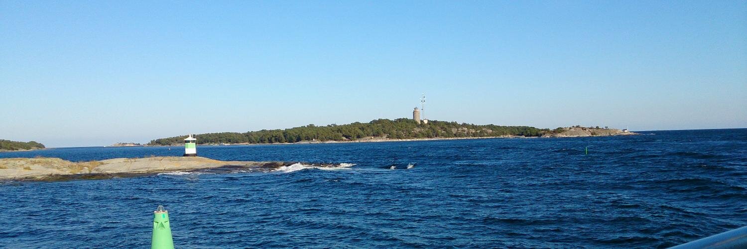 Tom Berg 🇸🇪🎗🇺🇸 banner