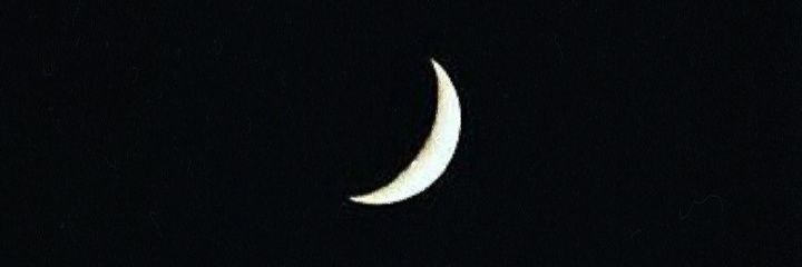 reandini's profile banner image