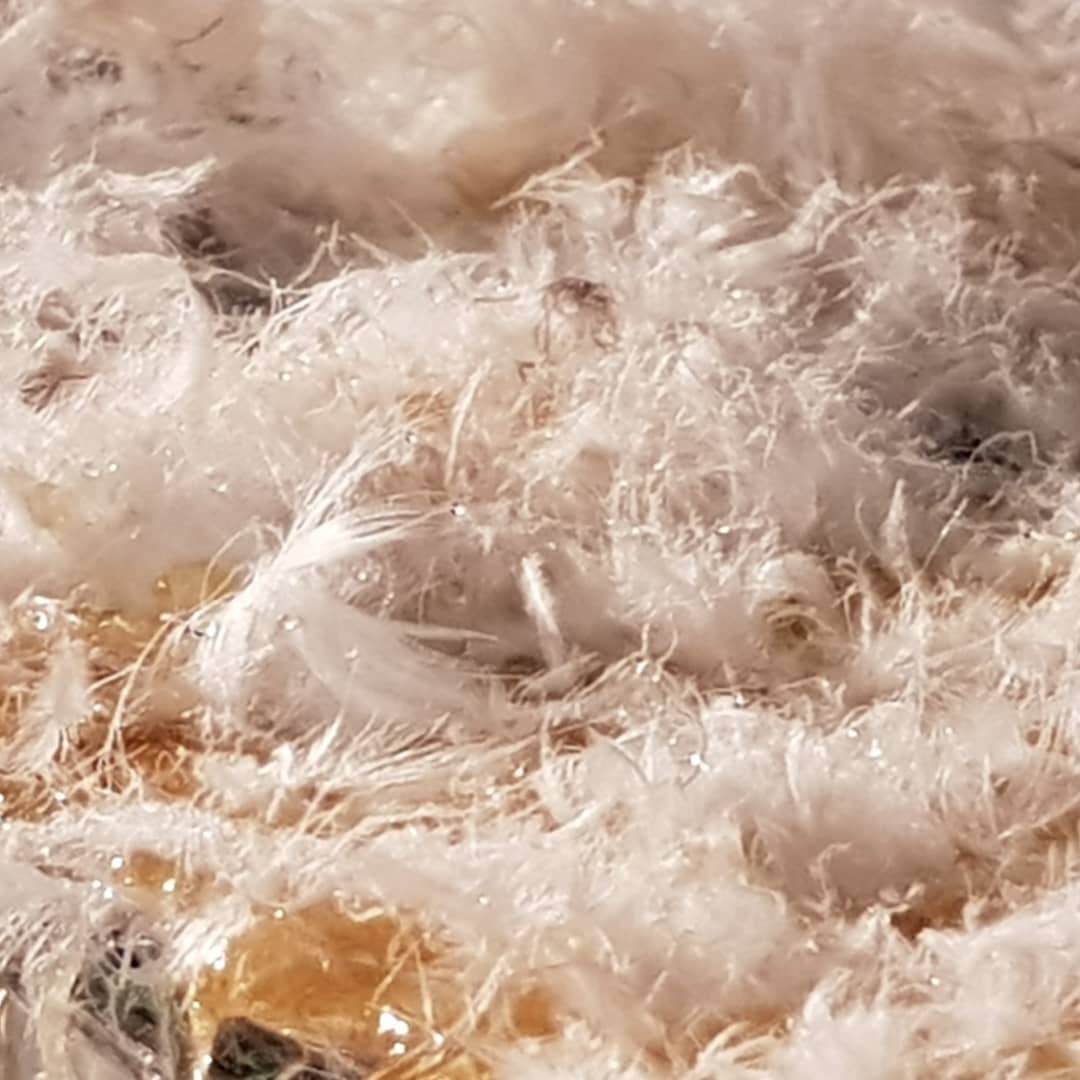 Motiondust's profile banner image