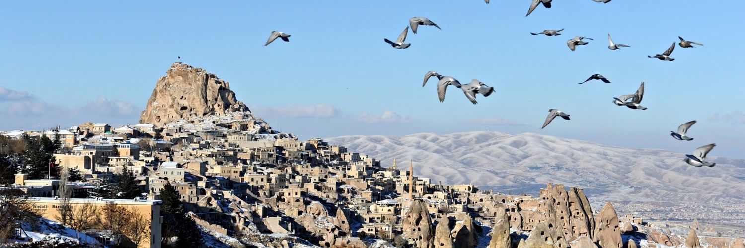 mahmutaktasoglu's profile banner image