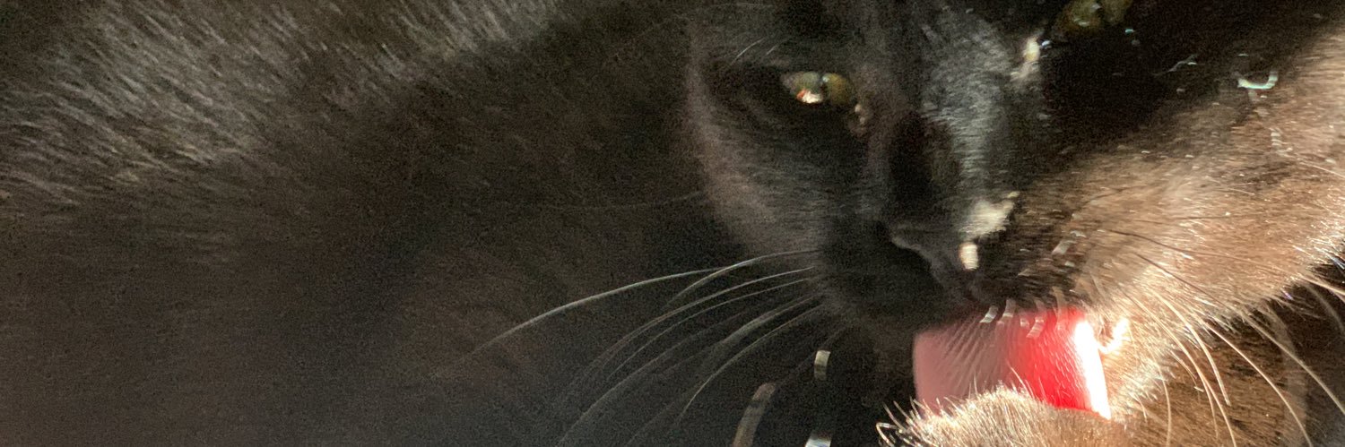 Ęmîlïå banner