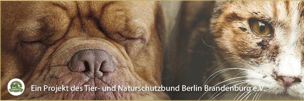 TNBBEV's profile banner image