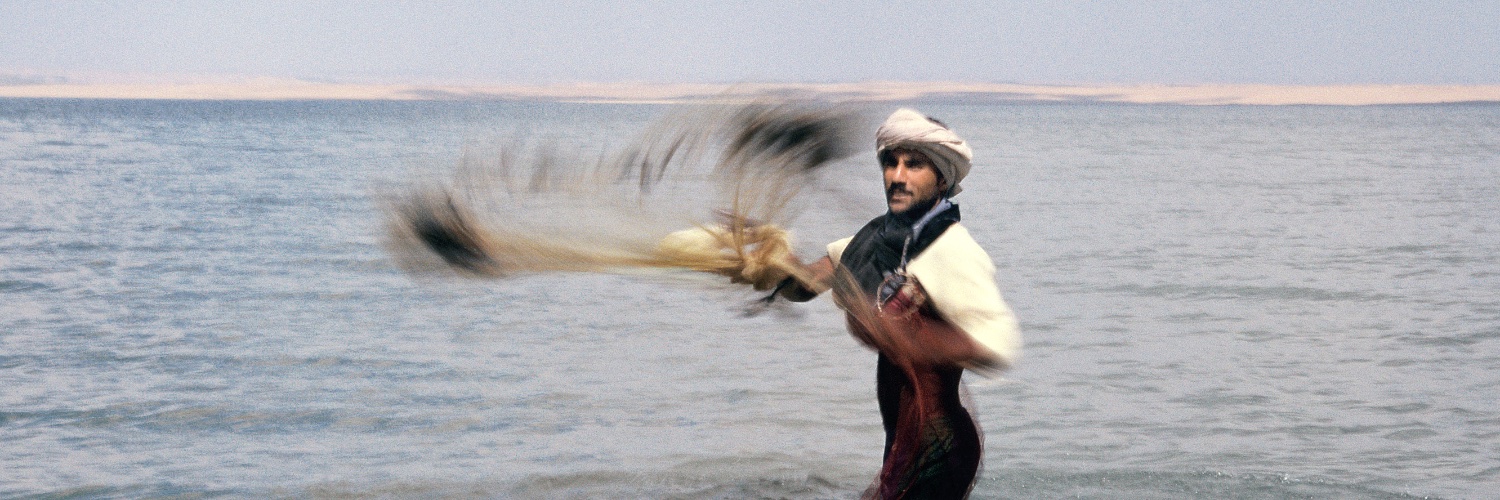 Focus Méditerranée banner