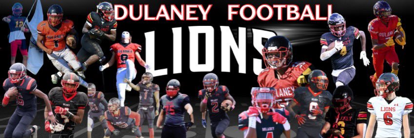 Dulaney Football banner