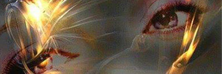 nuppse's profile banner image