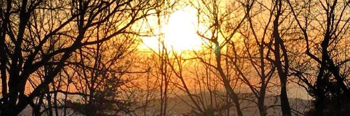 Nadia Semache banner