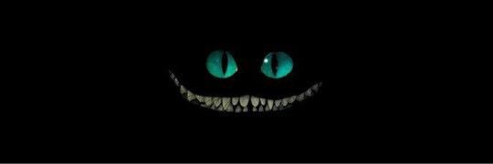 Palitch's profile banner image