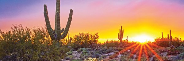 Young Democrats of Arizona Profile Banner