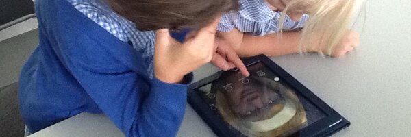 wcsict Profile Banner