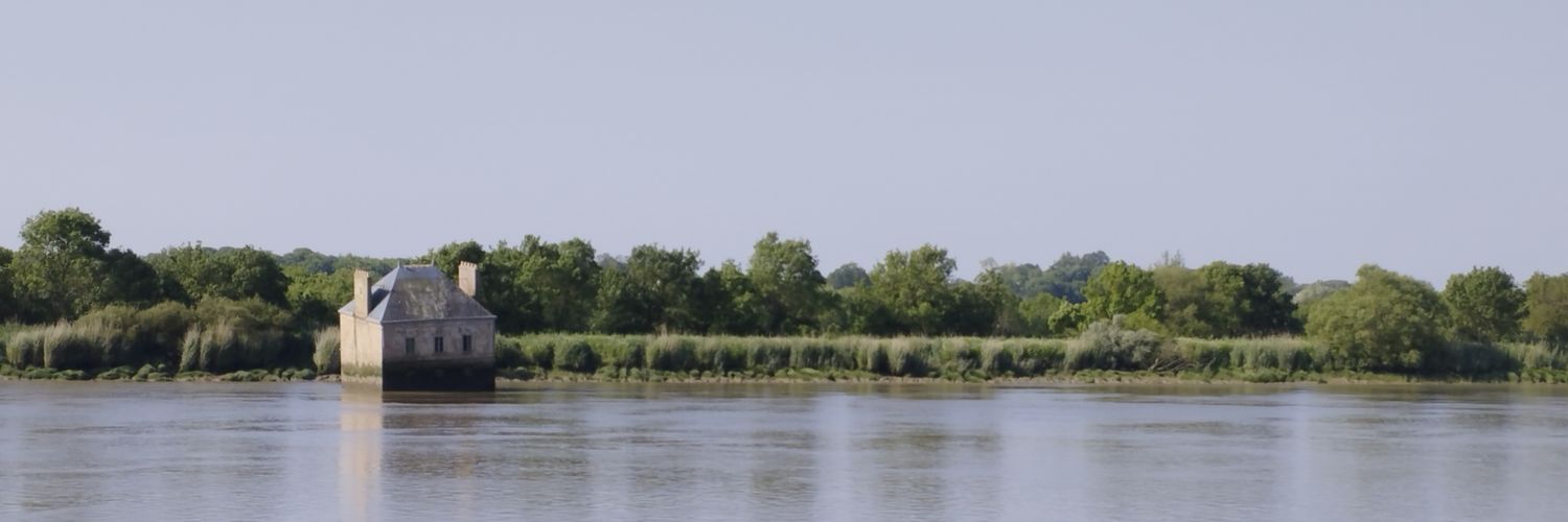 P_Bousin's profile banner image