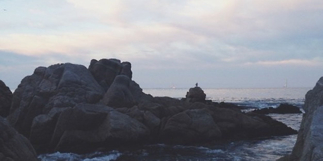 fIightlessbirds's profile banner image