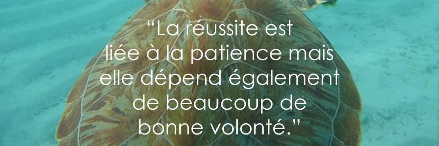 SaintGermain26's profile banner image