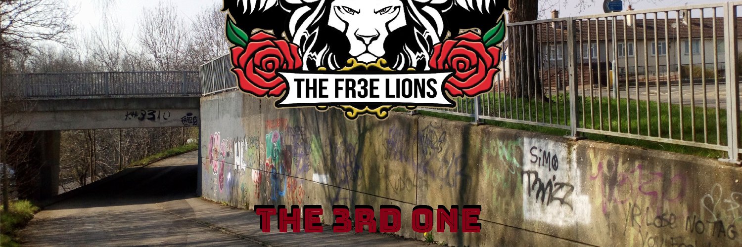 TheFr3eLions's profile banner image