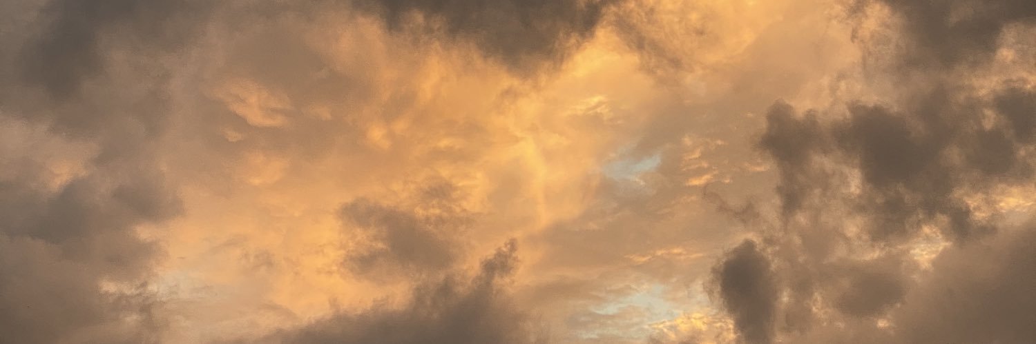 _neumaier's profile banner image