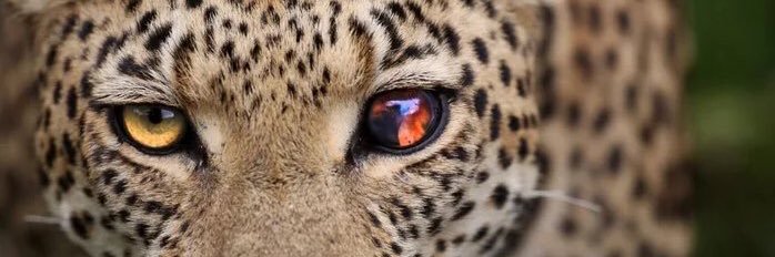 miichellenb's profile banner image