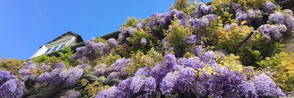 LilleyMitchell Profile Banner