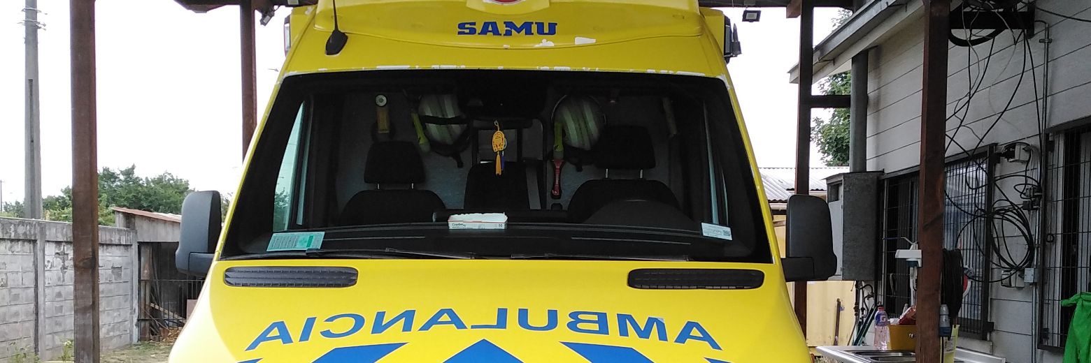 juan edo.🌳 banner