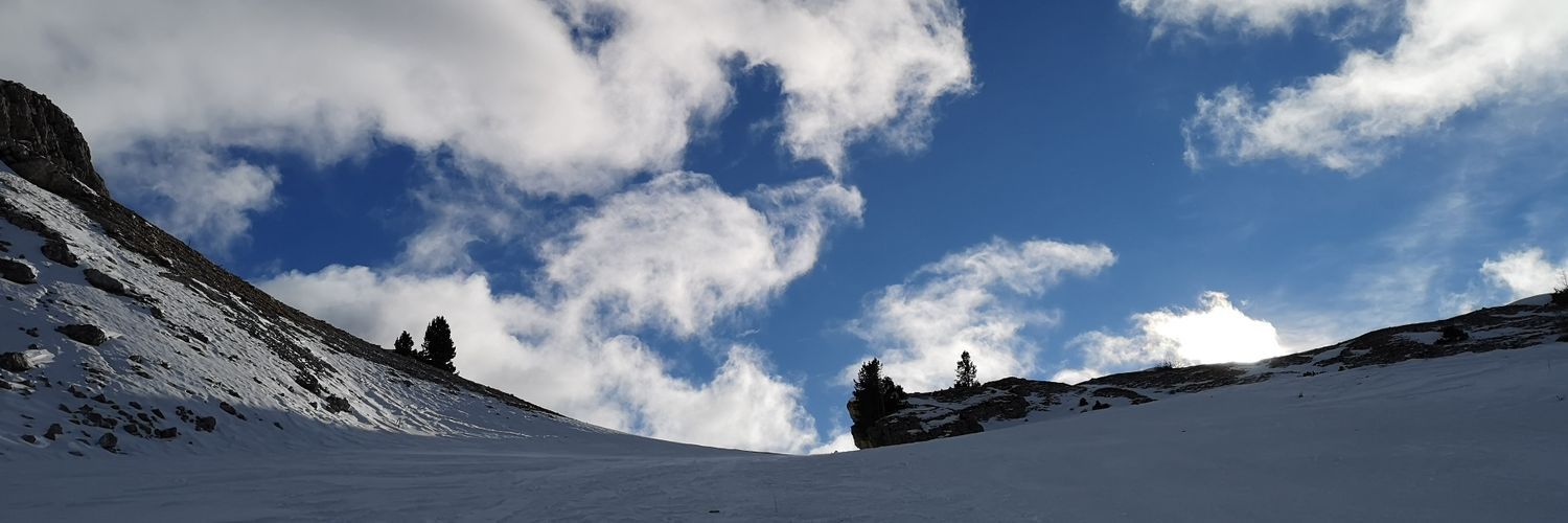 rossbachandreas's profile banner image
