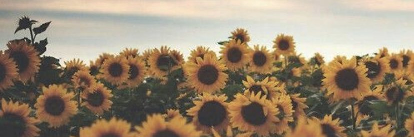 paiigesexsmith's profile banner image