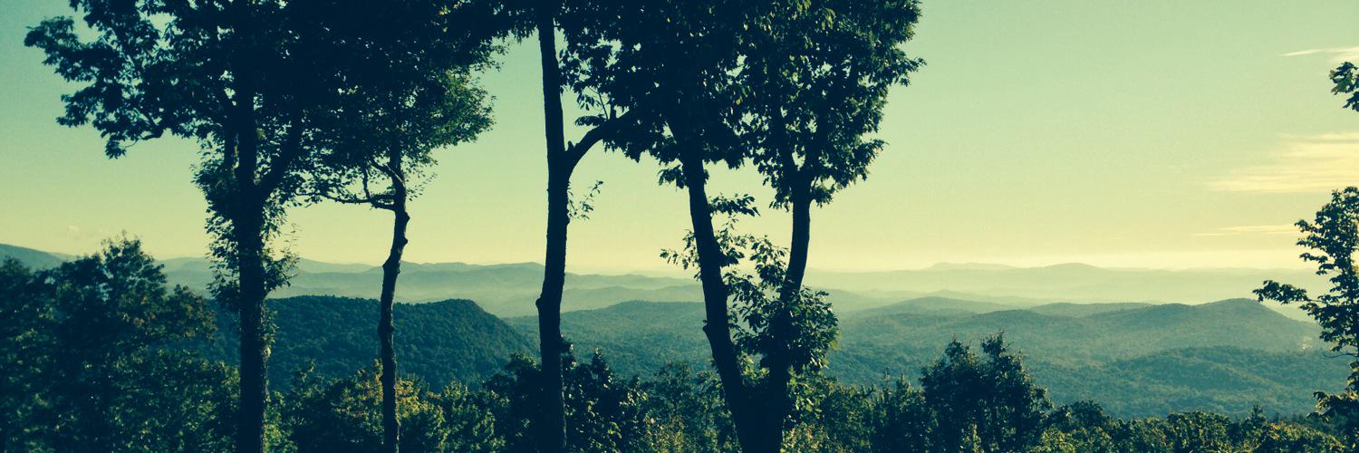 LTrees_KM's profile banner image