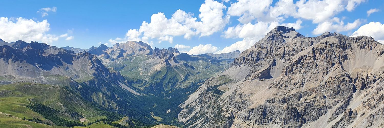 Lizzmarc's profile banner image