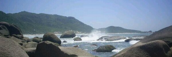 Renata_RAlves Profile Banner