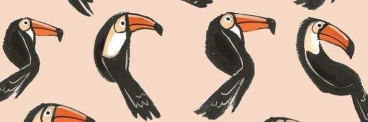 Ducavit's profile banner image